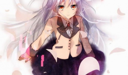 动漫女神天使,动漫女神的传奇之旅